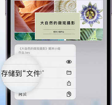 灵石apple维修中心分享iPhone文件应用中存储和找到下载文件