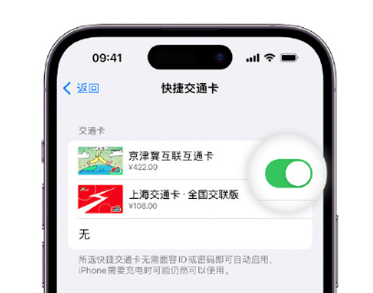 灵石apple维修点分享iPhone上更换Apple Pay快捷交通卡手绘卡面 