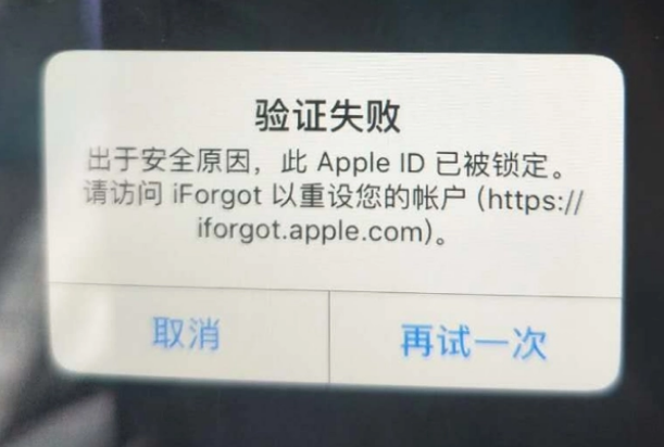 灵石iPhone维修分享iPhone上正常登录或使用AppleID怎么办 