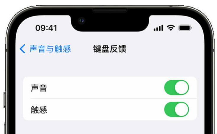 灵石苹果手机维修分享iPhone 14触感键盘使用方法 