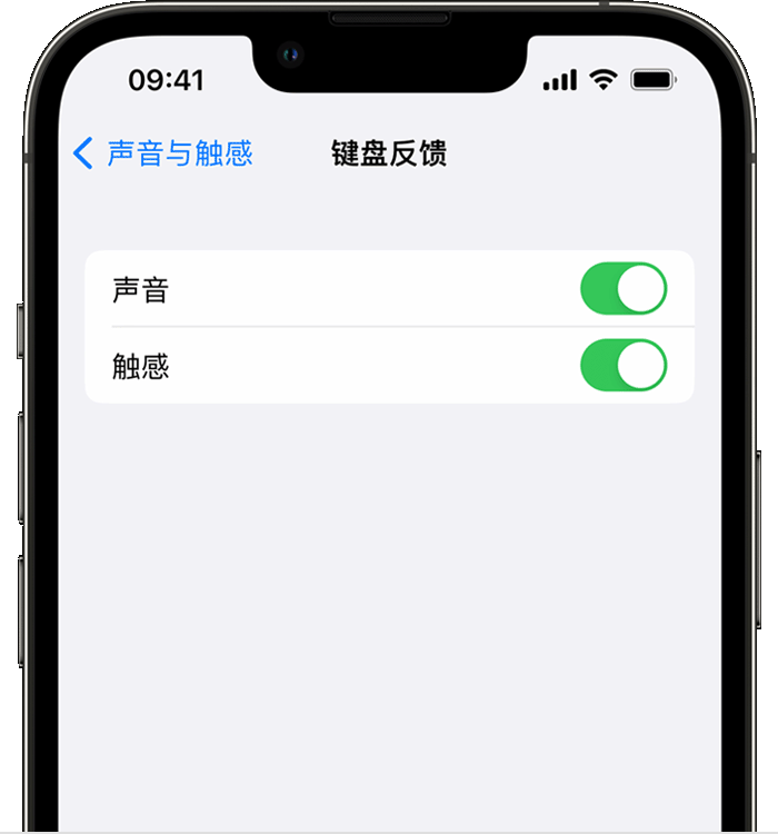 灵石苹果14维修店分享如何在 iPhone 14 机型中使用触感键盘 