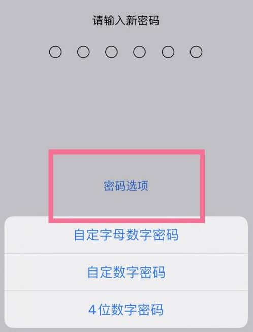 灵石苹果14维修分享iPhone 14plus设置密码的方法 