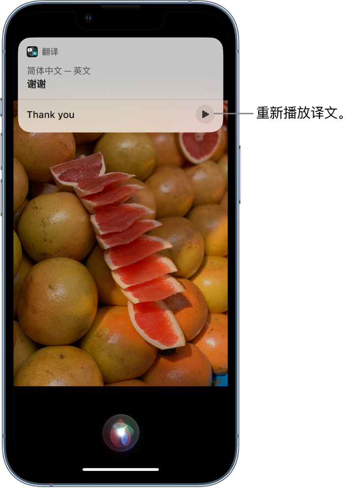 灵石苹果14维修分享 iPhone 14 机型中使用 Siri：了解 Siri 能帮你做什么 