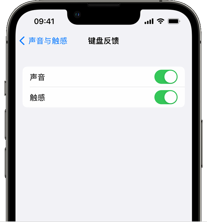 灵石苹果14维修分享iPhone 14 系列机型如何开启键盘声音或触感反馈 