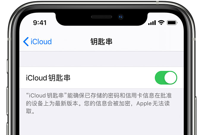 灵石苹果手机维修分享在 iPhone 上开启 iCloud 钥匙串之后会储存哪些信息 