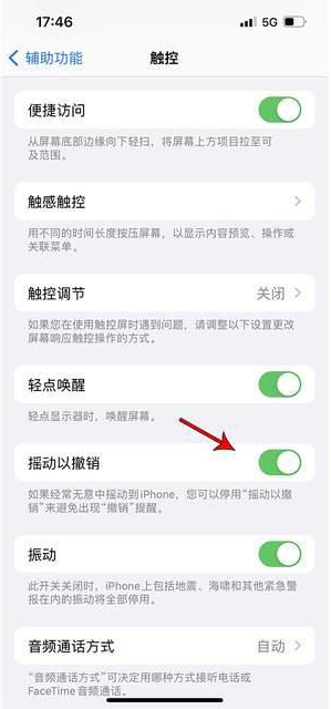 灵石苹果手机维修分享iPhone手机如何设置摇一摇删除文字 