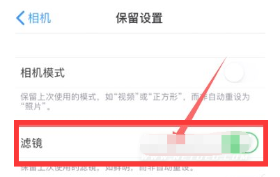 灵石苹果13维修分享iPhone13拍照有绿点是怎么回事 