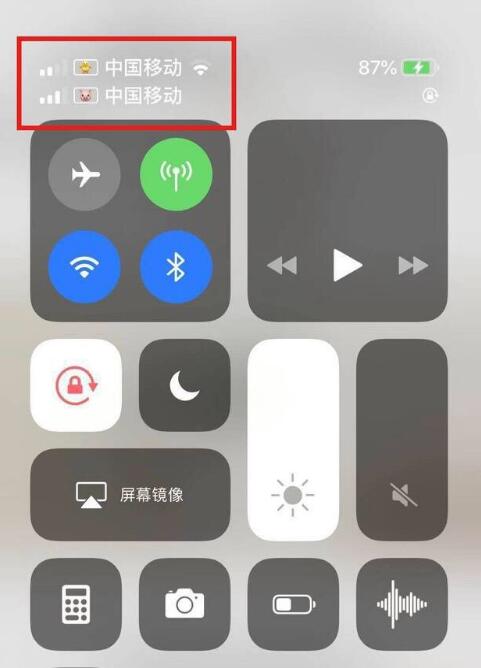 灵石苹果手机维修分享为 iPhone 12 双卡设置标签 
